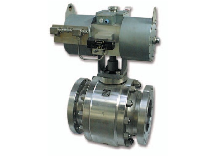 Trunnion ball valve - P Type