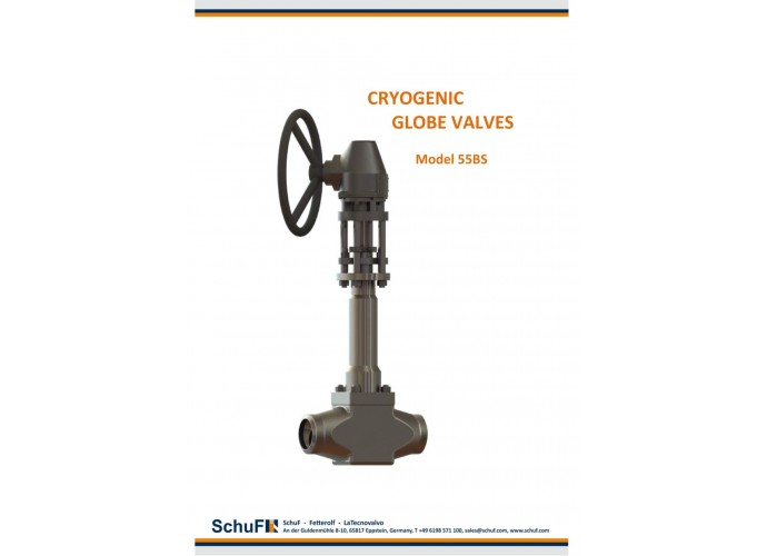 Cyrogenic Globe Valves Type 55BS