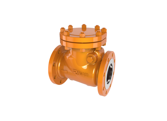 Swing check valves 