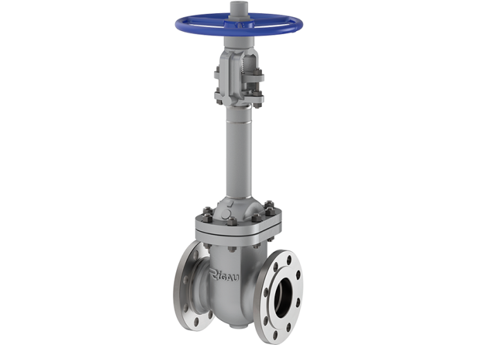 Cyrogenic Globe&Gate Valves
